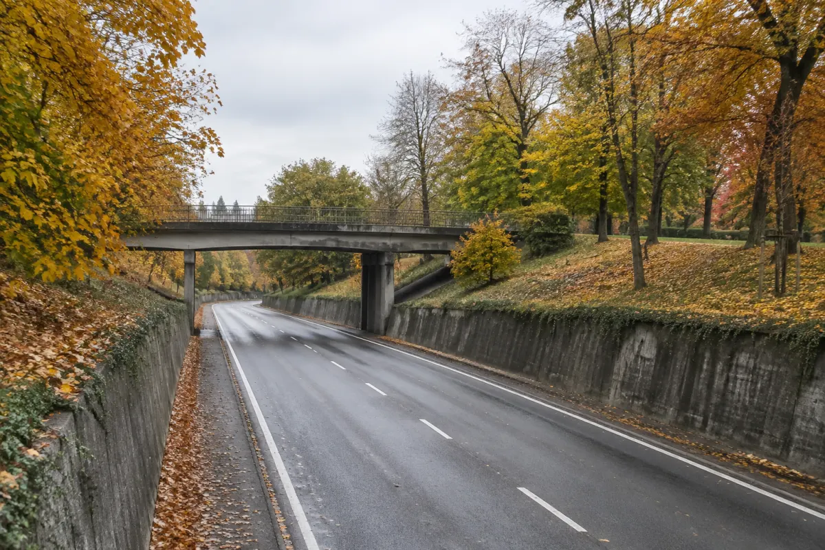 Poglądowy widok drogi w wykopie obok parku i starzejącego się mostu