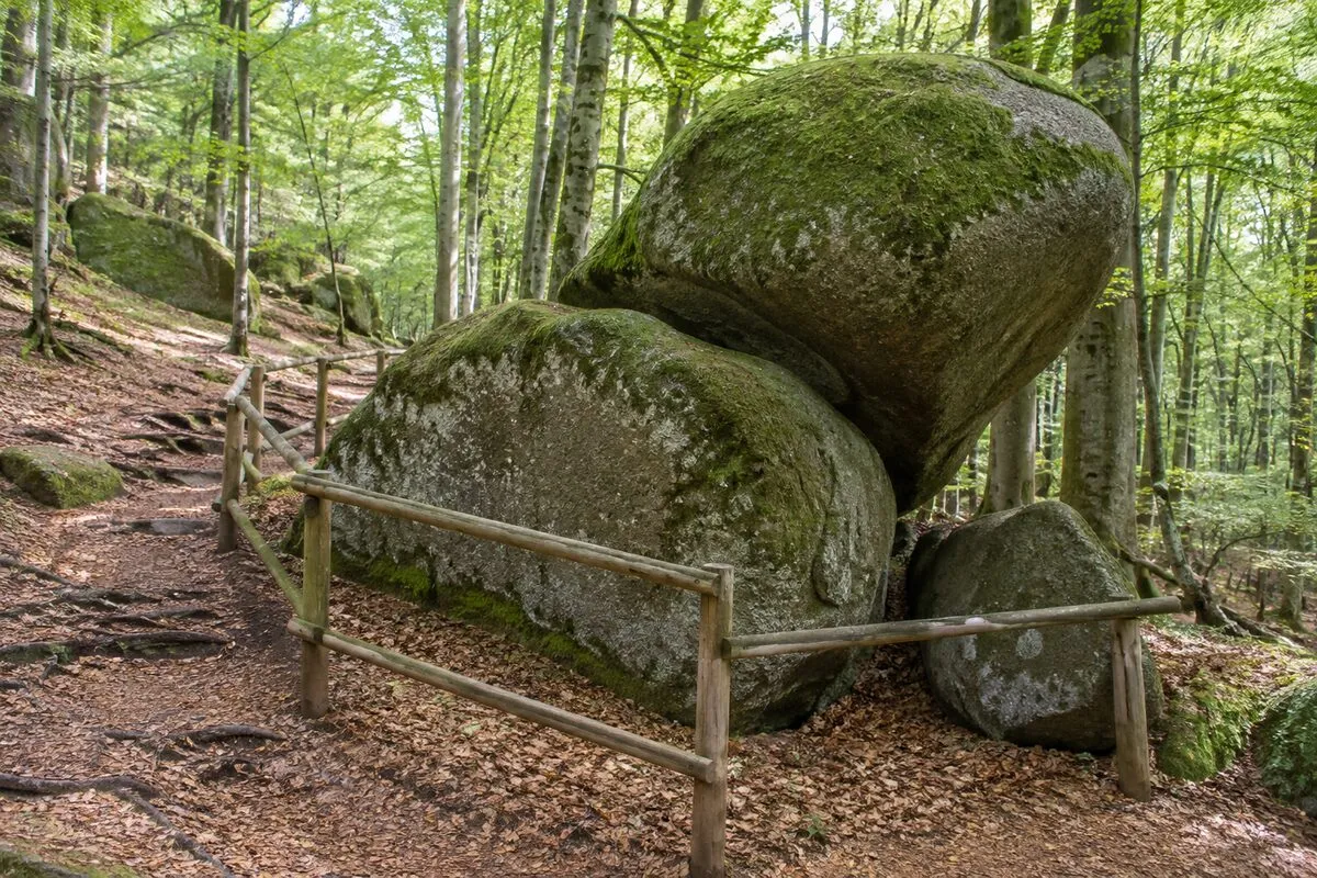 Granitowe głazy Felsenmeer między drzewami i ogrodzony fragment lasu