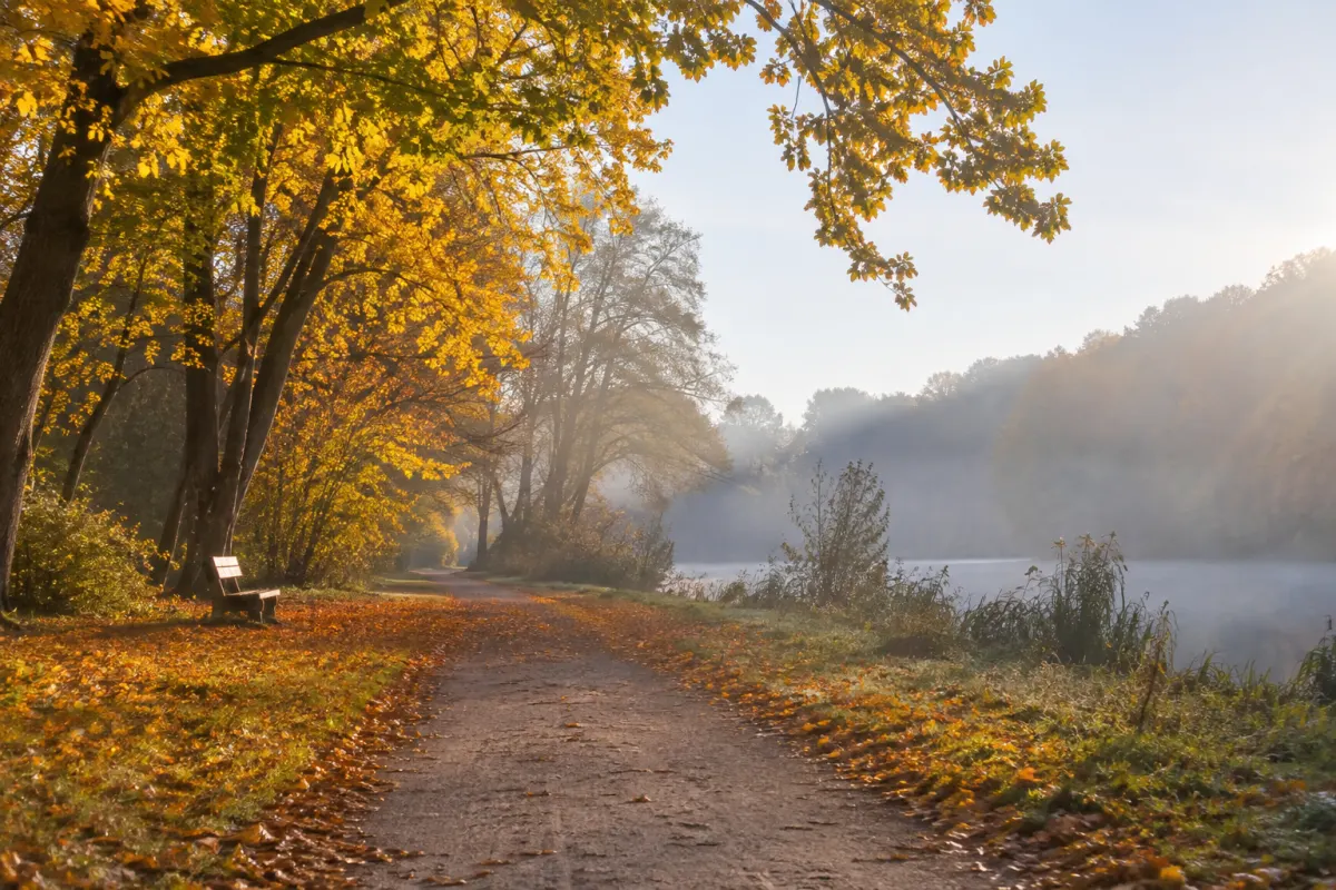 Jesienny park w NRW z poranną mgłą i promieniami słońca